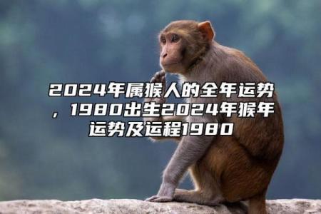 六八年属猴的吉凶运势预测