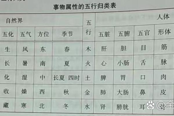 东五行所属与五行理论的关系分析 东五行所属与五行理论的关系分析
