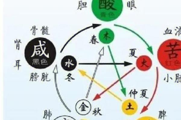 东五行所属与五行理论的关系分析 东五行所属与五行理论的关系分析