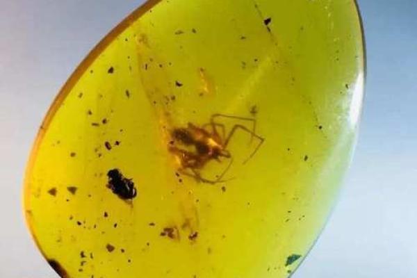 蜜蜡的五行属性解析与应用揭秘 蜜蜡的五行属性解析与应用揭秘
