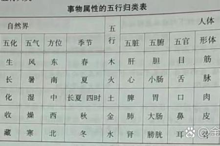 东五行所属与五行理论的关系分析