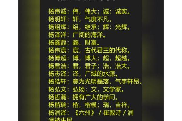 杨姓家族传承与起名的艺术 杨姓家族传承与起名的艺术