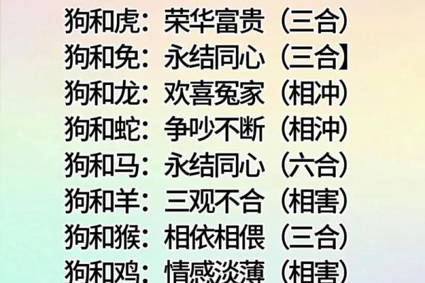 婚姻属相配对表解析:如何根据生肖选择理想伴侣 婚姻属相配对表解析:如何根据生肖选择理想伴侣