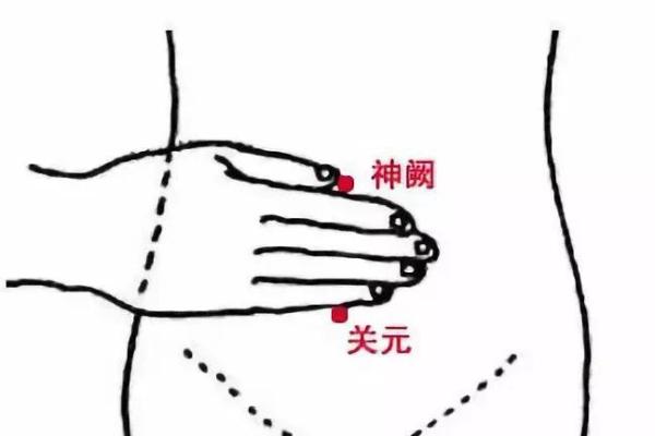 如何通过保护腰部来延续男人的生命力 如何通过保护腰部来延续男人的生命力