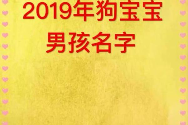 猪宝宝如何起名,五行八字与性格结合的技巧 猪宝宝如何起名,五行八字与性格结合的技巧