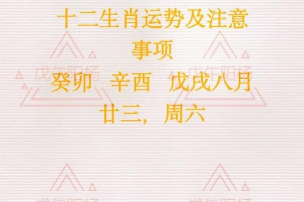 十二生肖运程变化与影响 十二生肖运程变化与影响