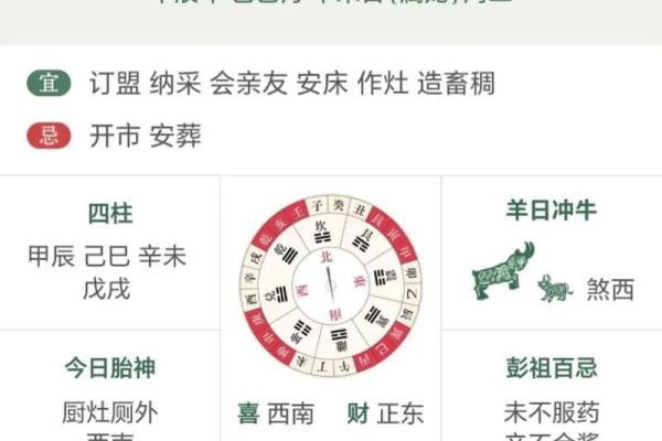 甲辰年五行属性解析与运势分析 甲辰年五行属性解析与运势分析