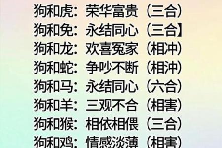 婚姻属相配对表解析：如何根据生肖选择理想伴侣