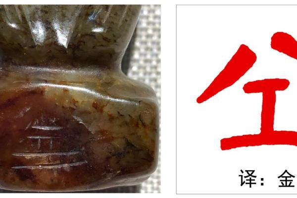 译字的五行属性及其影响解析 译字的五行属性及其影响解析