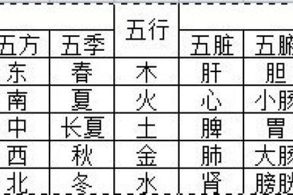 译字的五行属性及其影响解析 译字的五行属性及其影响解析