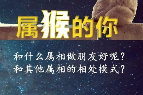 属牛和属猴的性格搭配分析 属牛和属猴的性格搭配分析