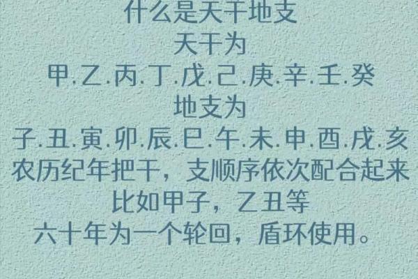 深入了解生辰八字:命理学的奥秘 深入了解生辰八字:命理学的奥秘