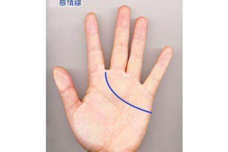 牛人运势解析：财富、事业与感情的全方位运程展望