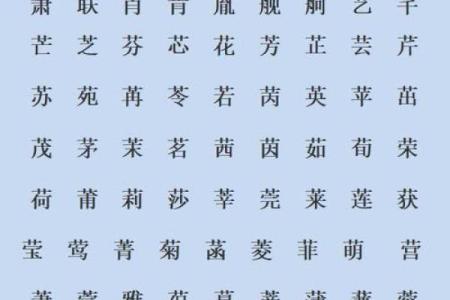 宝宝木字名字大全，寓意吉祥的选择