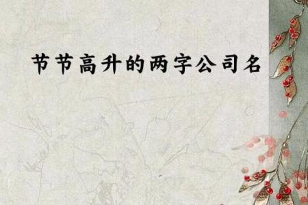 怎样给公司起个既有创意又易记的名字