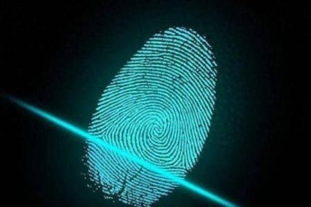 指纹能揭示富贵命运的秘密