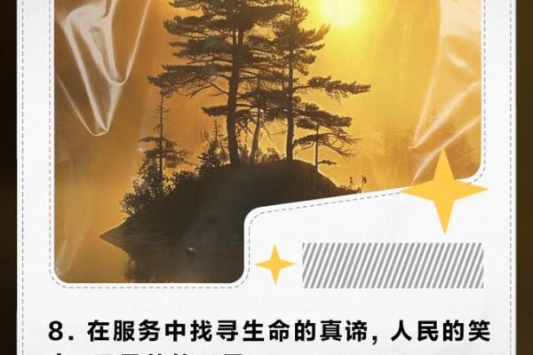 以馨为名,传递温暖与清新 以馨为名,传递温暖与清新