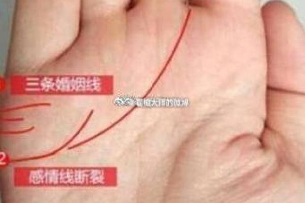 姻缘算命揭秘:从八字看你的婚姻是否幸福 姻缘算命揭秘:从八字看你的婚姻是否幸福