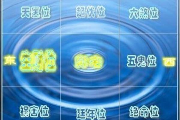 黄杨家居风水的关键布局技巧与注意事项 黄杨家居风水的关键布局技巧与注意事项