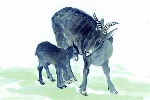 属羊人运势预测:事业、健康、感情三大领域分析 属羊人运势预测:事业、健康、感情三大领域分析