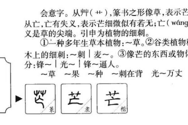 生辰八字打分系统在取名中的实用性与优势 生辰八字打分系统在取名中的实用性与优势