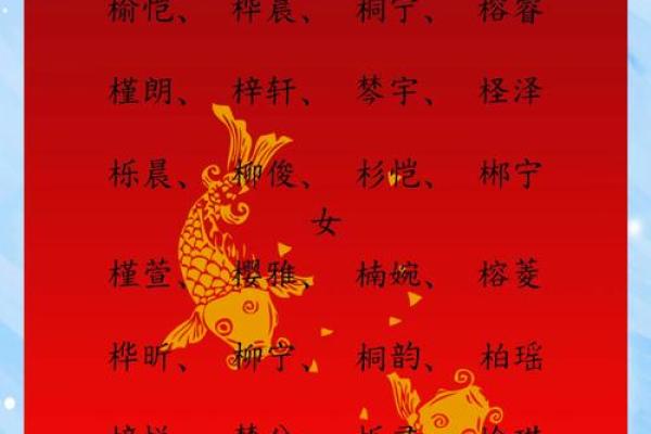 如何为宝宝起个独特又有寓意的名字 如何为宝宝起个独特又有寓意的名字
