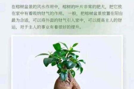 门面风水财位不容忽视，如何布局才能财源滚滚