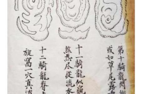 阳宅风水学：如何通过布局提升居住运势与生活质量