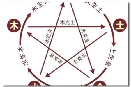 土命与水命的五行解析及其对命运的影响