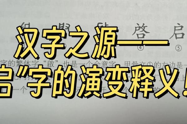 启字五行属性解析及其在命理中的应用 启字五行属性解析及其在命理中的应用