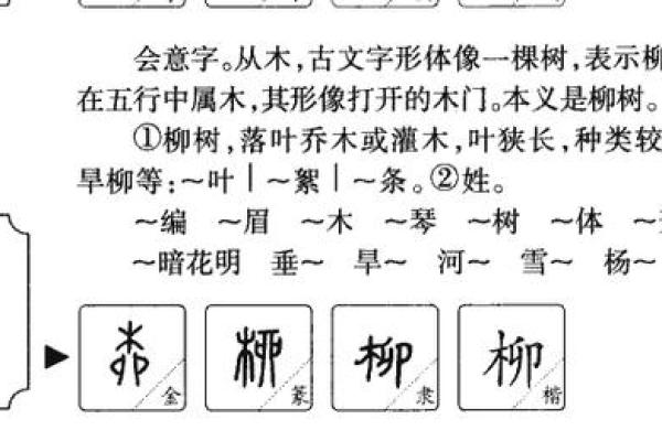 岚字如何赋予名字独特的气质与寓意 岚字如何赋予名字独特的气质与寓意