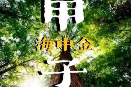 从甲子日柱看桃花运在不同年份的表现