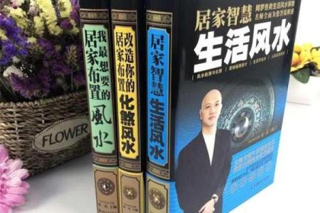 家居风水名家的智慧与秘诀解析
