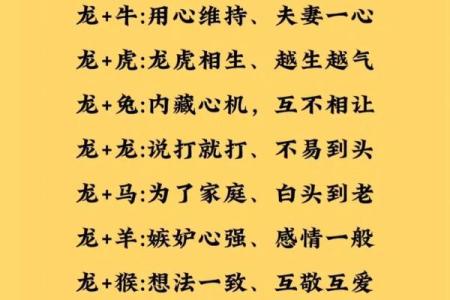 属虎女与属狗男性格契合度如何