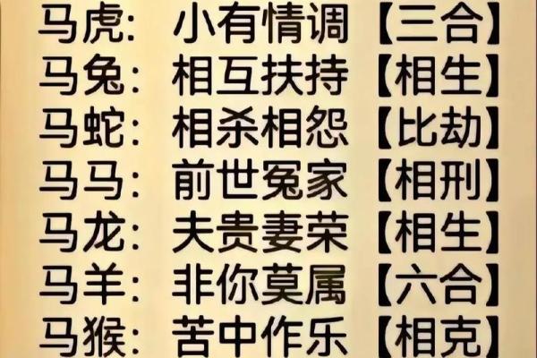 解密十二生肖与八字命理的深层关系 解密十二生肖与八字命理的深层关系