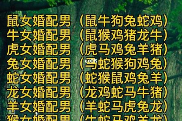手机号八字解析:如何通过手机号码看个人运势与命运趋势 手机号八字解析:如何通过手机号码看个人运势与命运趋势