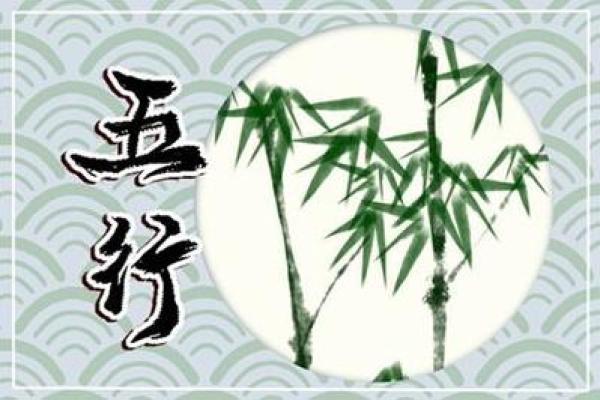 属木宝宝命名指南:五行平衡与个性化建议 属木宝宝命名指南:五行平衡与个性化建议