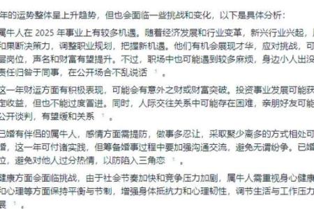 蛇年运势全解：从事业到感情的全面分析