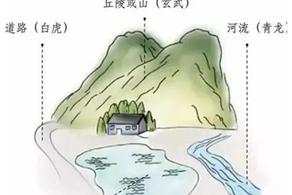 左青龙在办公风水中的重要性与布局技巧 左青龙在办公风水中的重要性与布局技巧