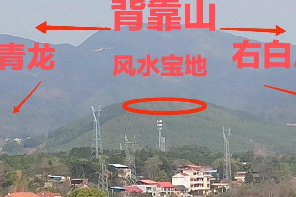 左青龙在办公风水中的重要性与布局技巧 左青龙在办公风水中的重要性与布局技巧