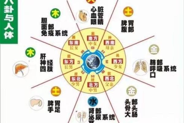风水视频分析:如何选择风水吉位让生活更顺利 风水视频分析:如何选择风水吉位让生活更顺利