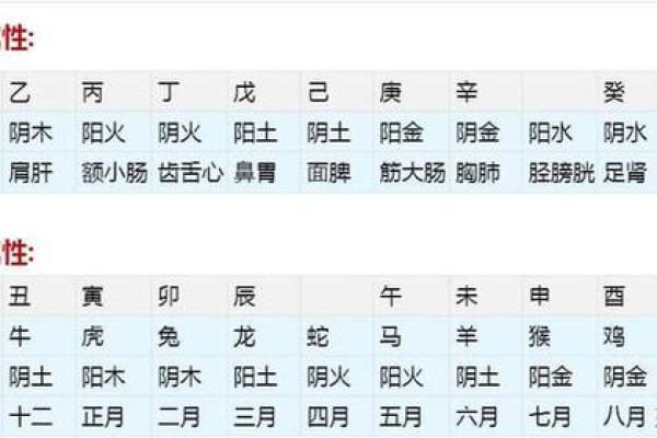 生辰八字测试指南:掌握命理学的基本技巧 生辰八字测试指南:掌握命理学的基本技巧