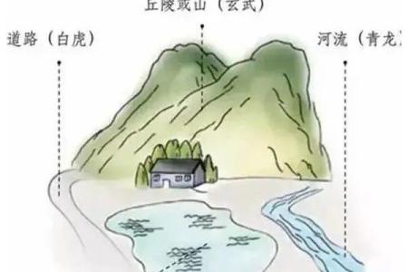 左青龙在办公风水中的重要性与布局技巧