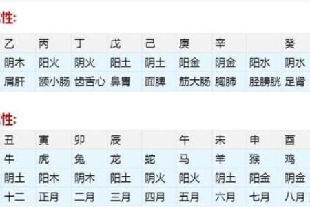 生辰八字测试指南：掌握命理学的基本技巧