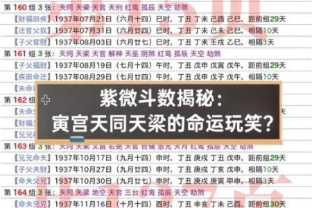 紫薇运程全解析 影响你命运的关键因素