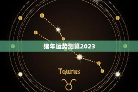 猪年运势全解 财运、健康、事业全面分析