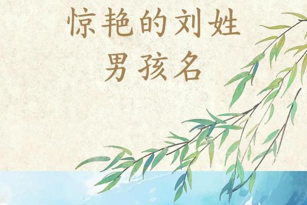 适合男孩的刘姓名字,助力人生起航 适合男孩的刘姓名字,助力人生起航