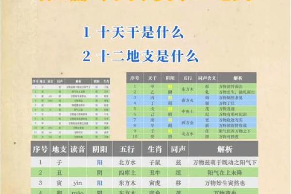时辰对生辰八字的影响:揭开命运的神秘面纱 时辰对生辰八字的影响:揭开命运的神秘面纱
