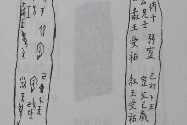 兴字五行属性解析及其对命理的影响 兴字五行属性解析及其对命理的影响