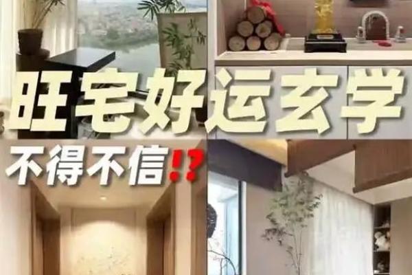 风水如何助你开运,巧妙布局增旺财运 风水如何助你开运,巧妙布局增旺财运